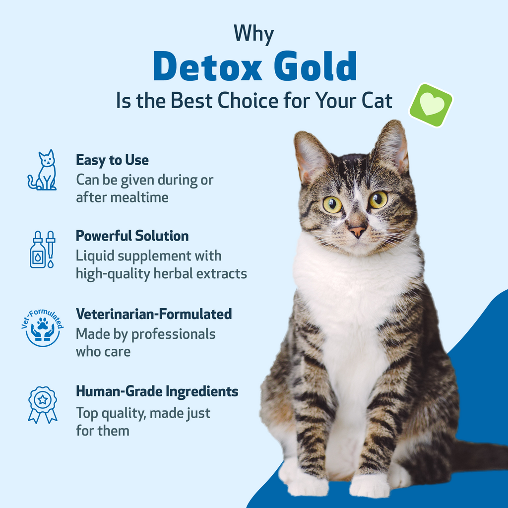 Cat Detox Supplement, Liquid Herbal Support for Gentle Elimination, Immune Function and Everyday Vitality