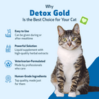 Cat Detox Supplement, Liquid Herbal Support for Gentle Elimination, Immune Function and Everyday Vitality