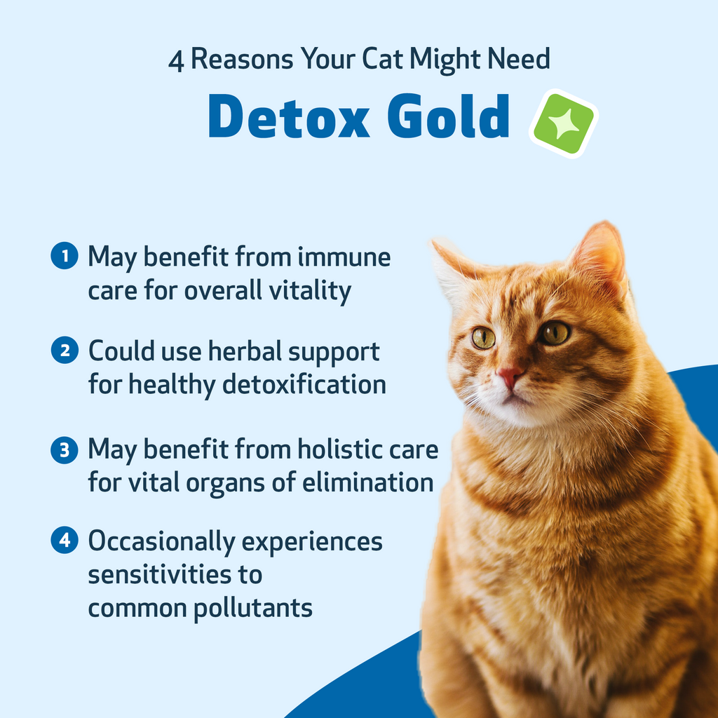 Cat Detox Supplement, Liquid Herbal Support for Gentle Elimination, Immune Function and Everyday Vitality