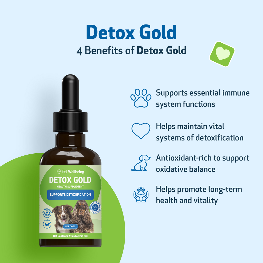 Dog Detox Supplement Liquid for Gentle Daily Detoxification and Elimination Support, 2 oz or 4 oz