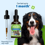 Dog Detox Supplement Liquid for Gentle Daily Detoxification and Elimination Support, 2 oz or 4 oz