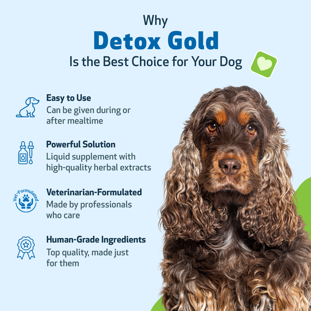 Dog Detox Supplement Liquid for Gentle Daily Detoxification and Elimination Support, 2 oz or 4 oz