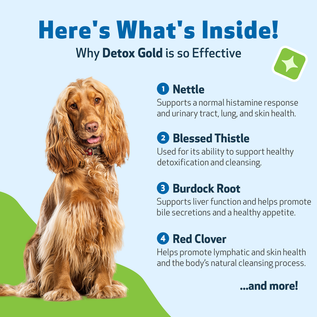 Dog Detox Supplement Liquid for Gentle Daily Detoxification and Elimination Support, 2 oz or 4 oz
