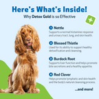 Dog Detox Supplement Liquid for Gentle Daily Detoxification and Elimination Support, 2 oz or 4 oz