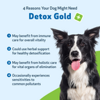 Dog Detox Supplement Liquid for Gentle Daily Detoxification and Elimination Support, 2 oz or 4 oz