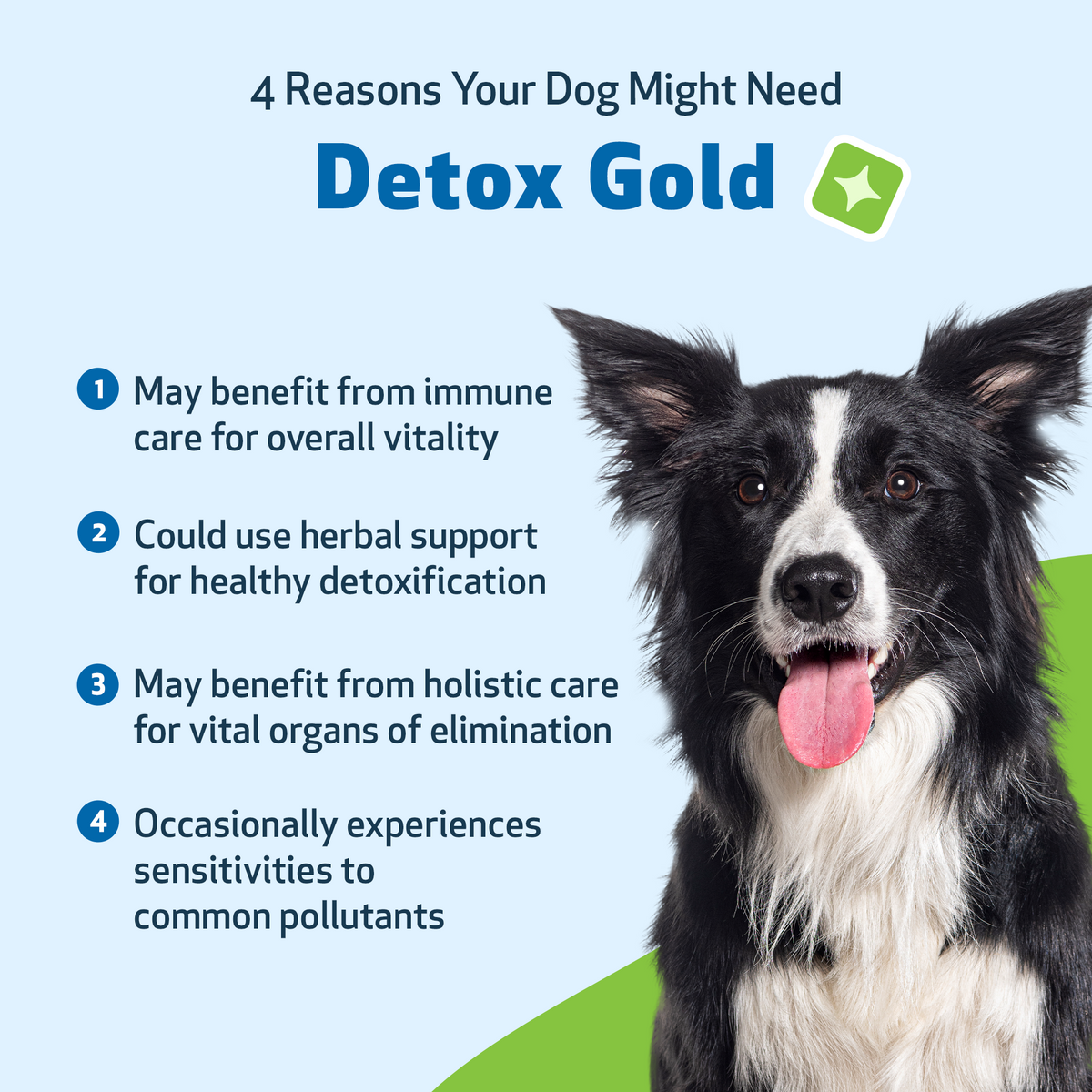 Dog Detox Supplement Liquid for Gentle Daily Detoxification and Elimination Support, 2 oz or 4 oz