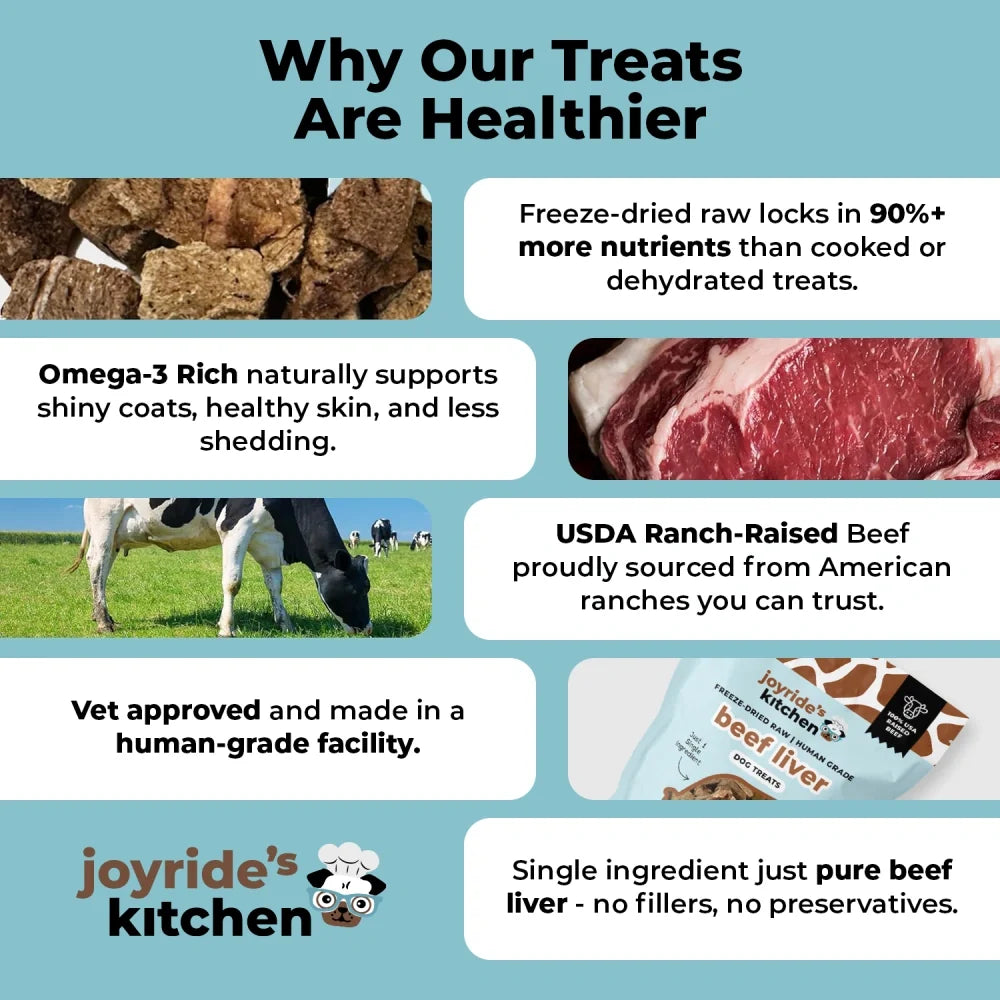 Freeze-Dried Dog Treats, Single-Ingredient Beef Liver Bites for Training Rewards and Everyday Treat Time, 3 oz