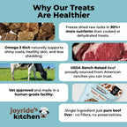Freeze-Dried Dog Treats, Single-Ingredient Beef Liver Bites for Training Rewards and Everyday Treat Time, 3 oz