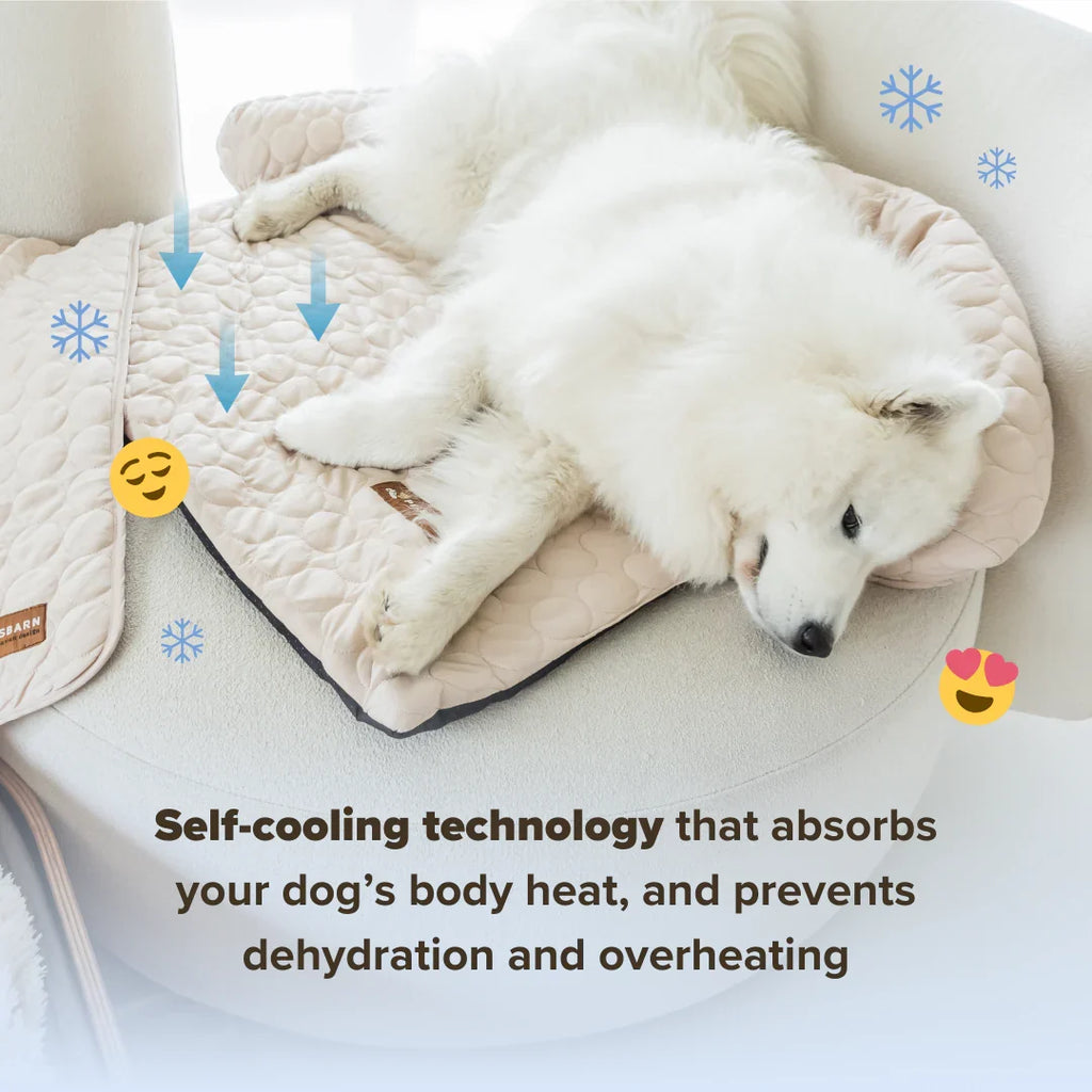 Cooling Dog Bed product image 9