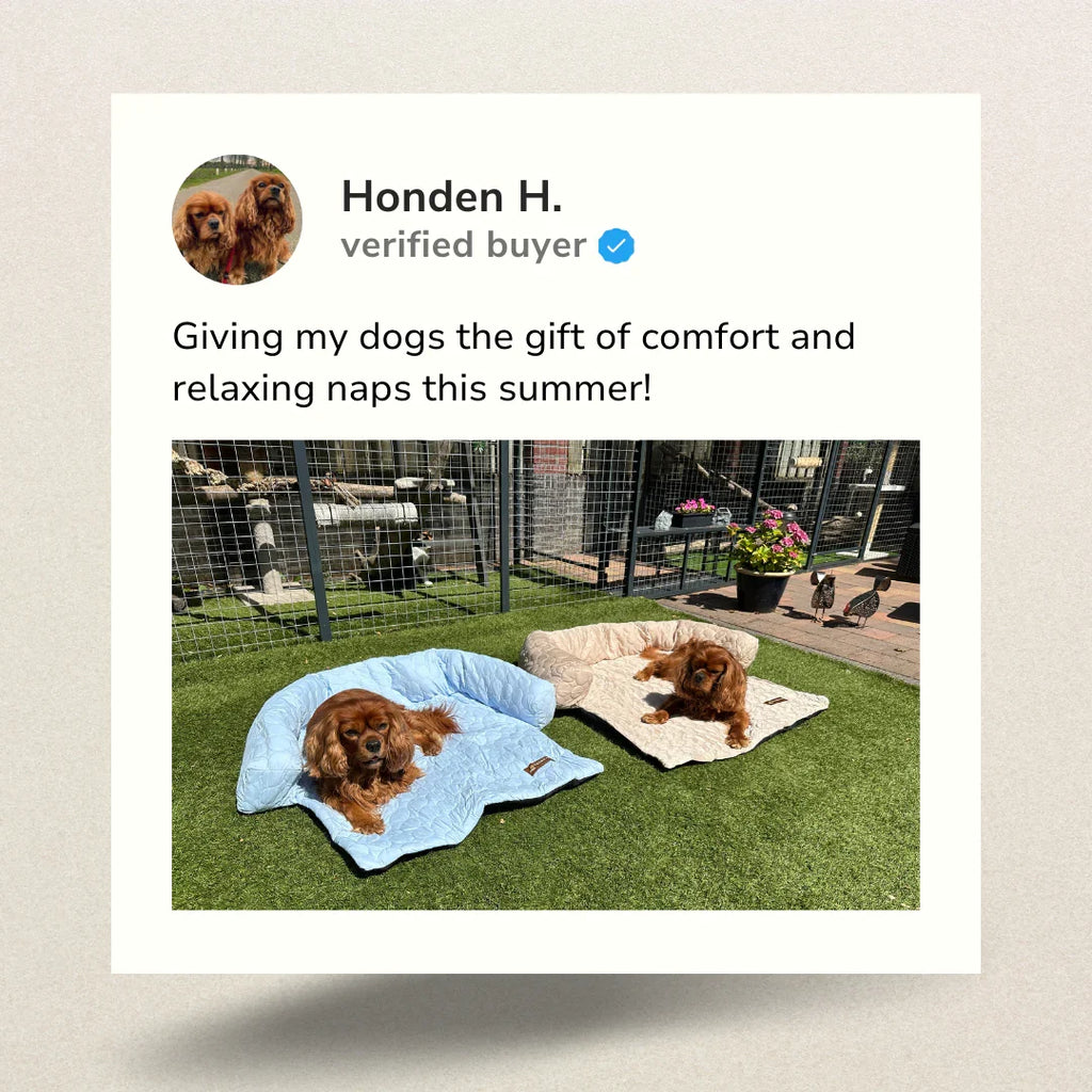 Cooling Dog Bed product image 10