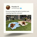 Cooling Dog Bed product image 10