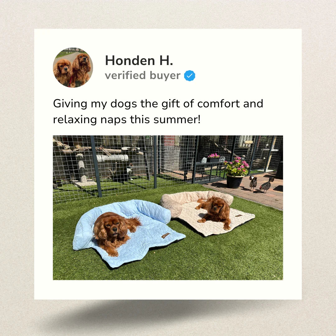 Cooling Dog Bed product image 10