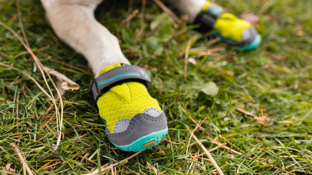 Dog Boots product image 13