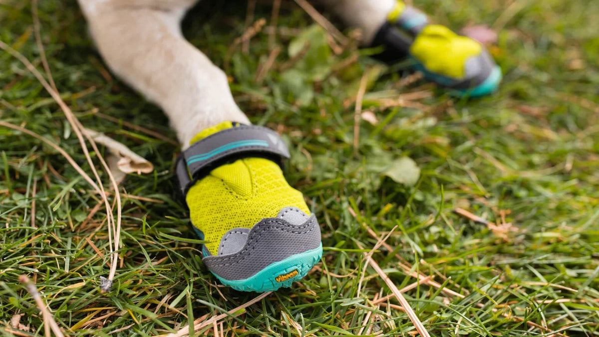 Dog Boots product image 13