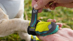 Dog Boots product image 14
