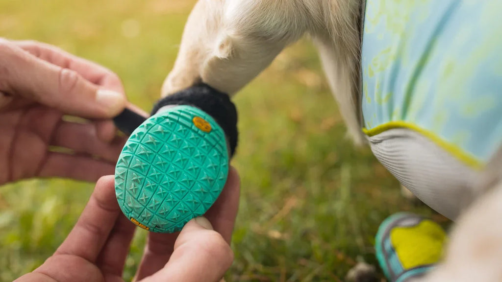 Dog Boots product image 15