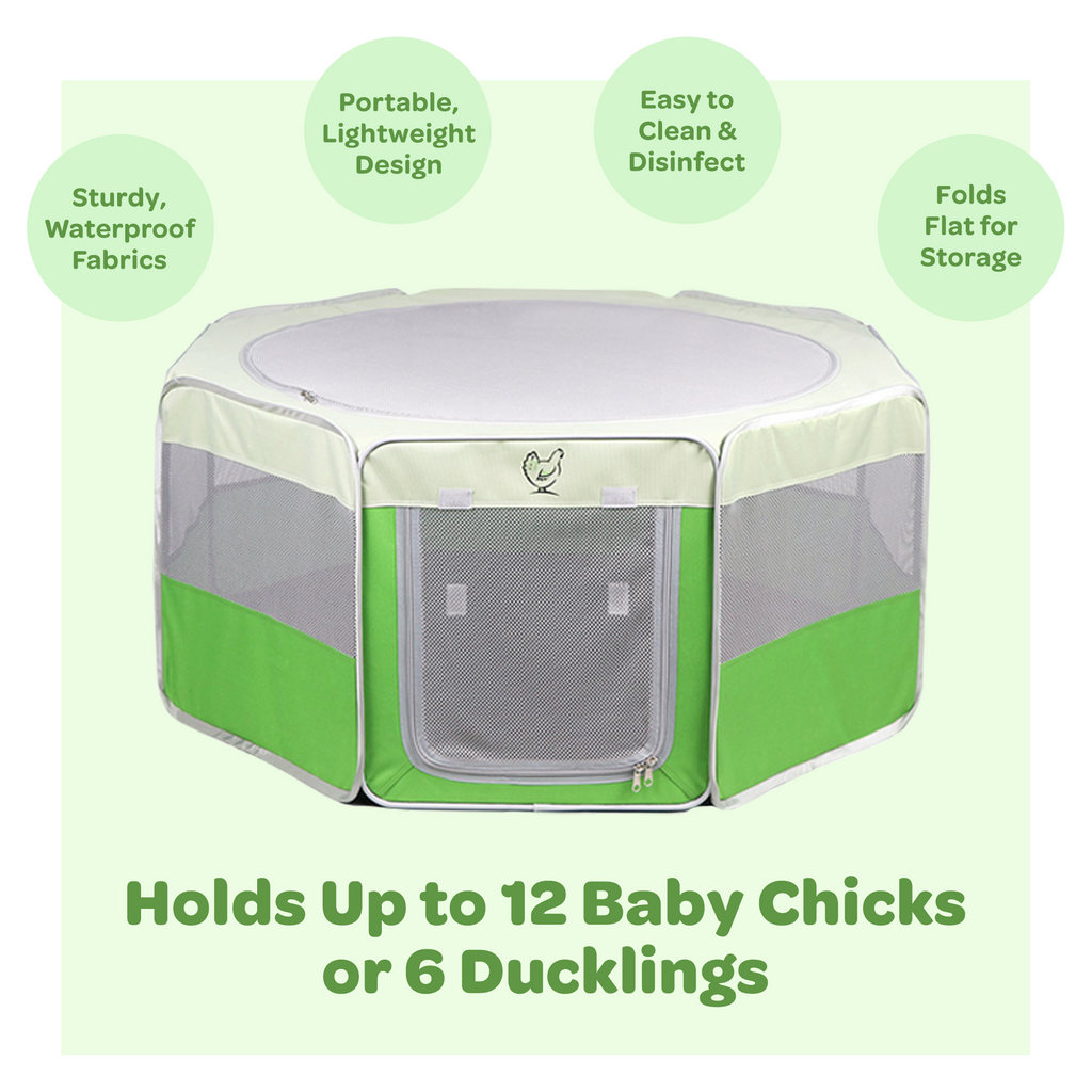 Chick Brooder product image 2