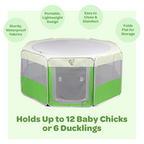 Chick Brooder product image 2
