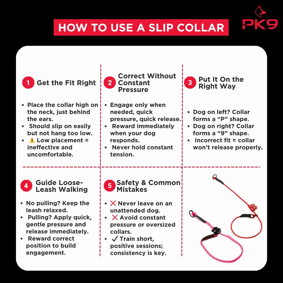 Dog Training Slip Collar product image 4