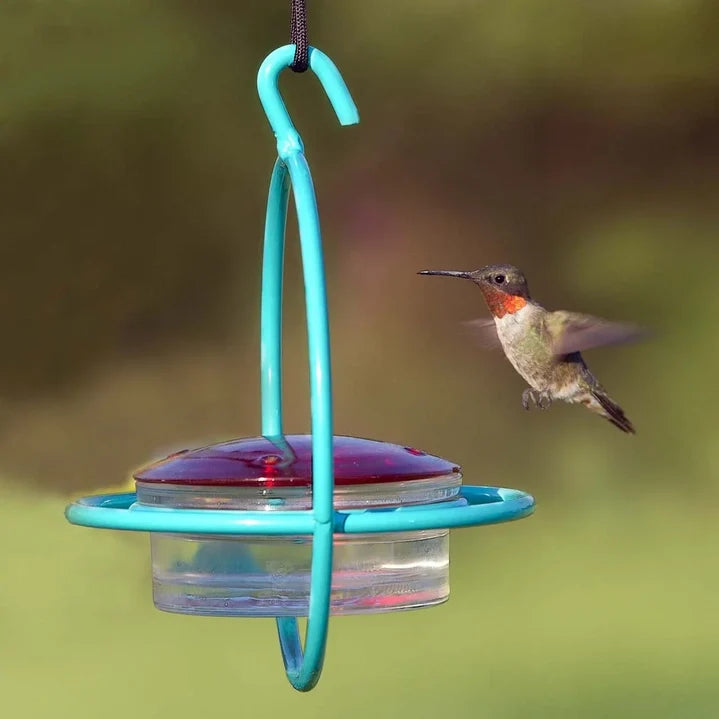 Hummingbird Feeder product image 4