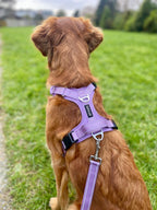 Dog Harness product image 3