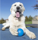Dog Fetch Ball product image 8