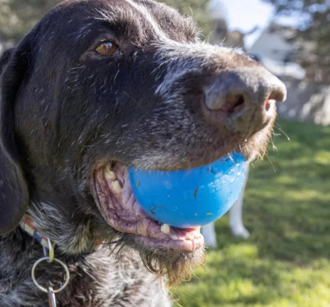 Dog Fetch Ball product image 6
