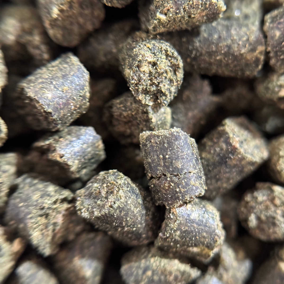 Insect Fish Food product image 3