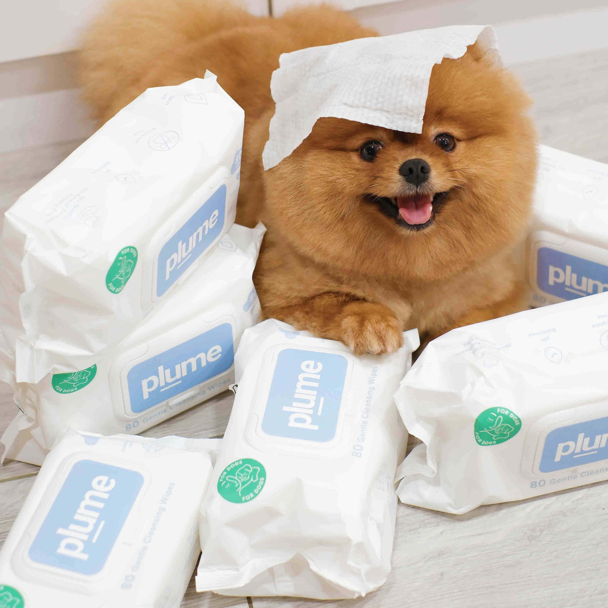 Pet Grooming Wipes for Dogs & Cats: Gentle Plant-Based Daily Paw and Body Cleaning, 80 to 480 Wipes
