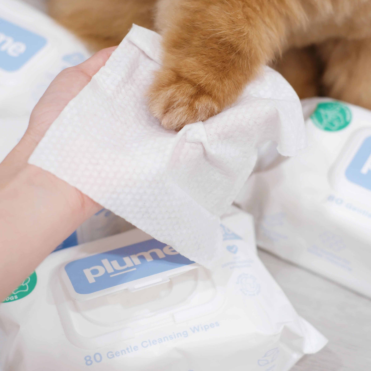 Pet Grooming Wipes for Dogs & Cats: Gentle Plant-Based Daily Paw and Body Cleaning, 80 to 480 Wipes