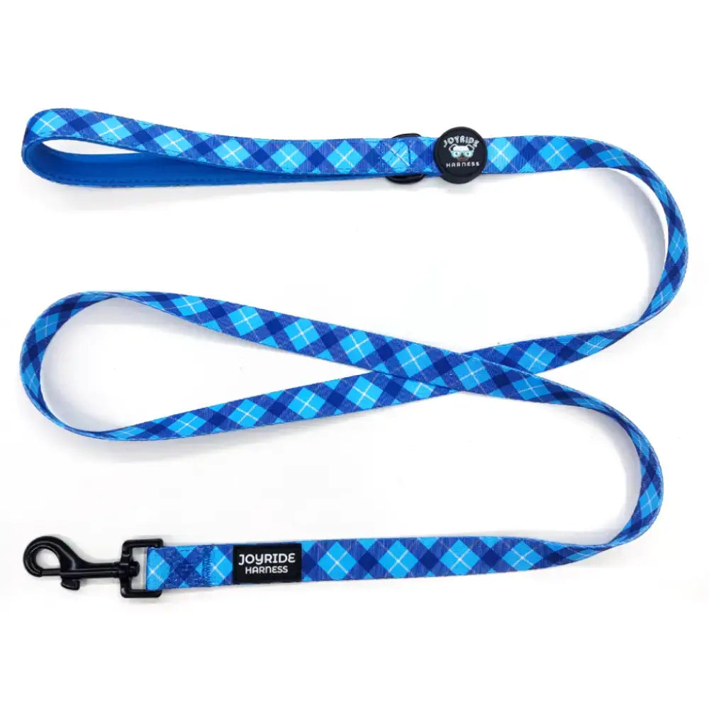 Dog Leash in Blue Plaid for Comfortable Daily Walks, 0.78 x 59 Inches, Made to Match Coordinating Walking Gear