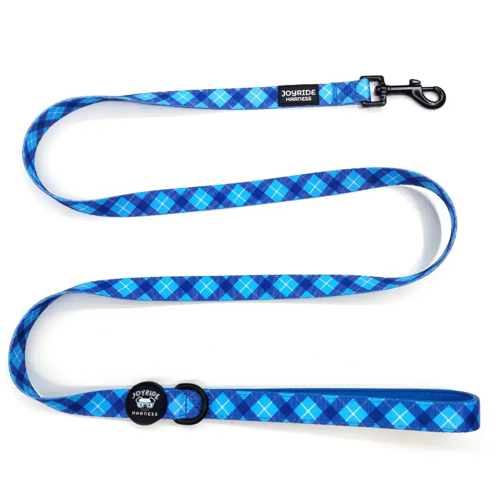 Dog Leash in Blue Plaid for Comfortable Daily Walks, 0.78 x 59 Inches, Made to Match Coordinating Walking Gear