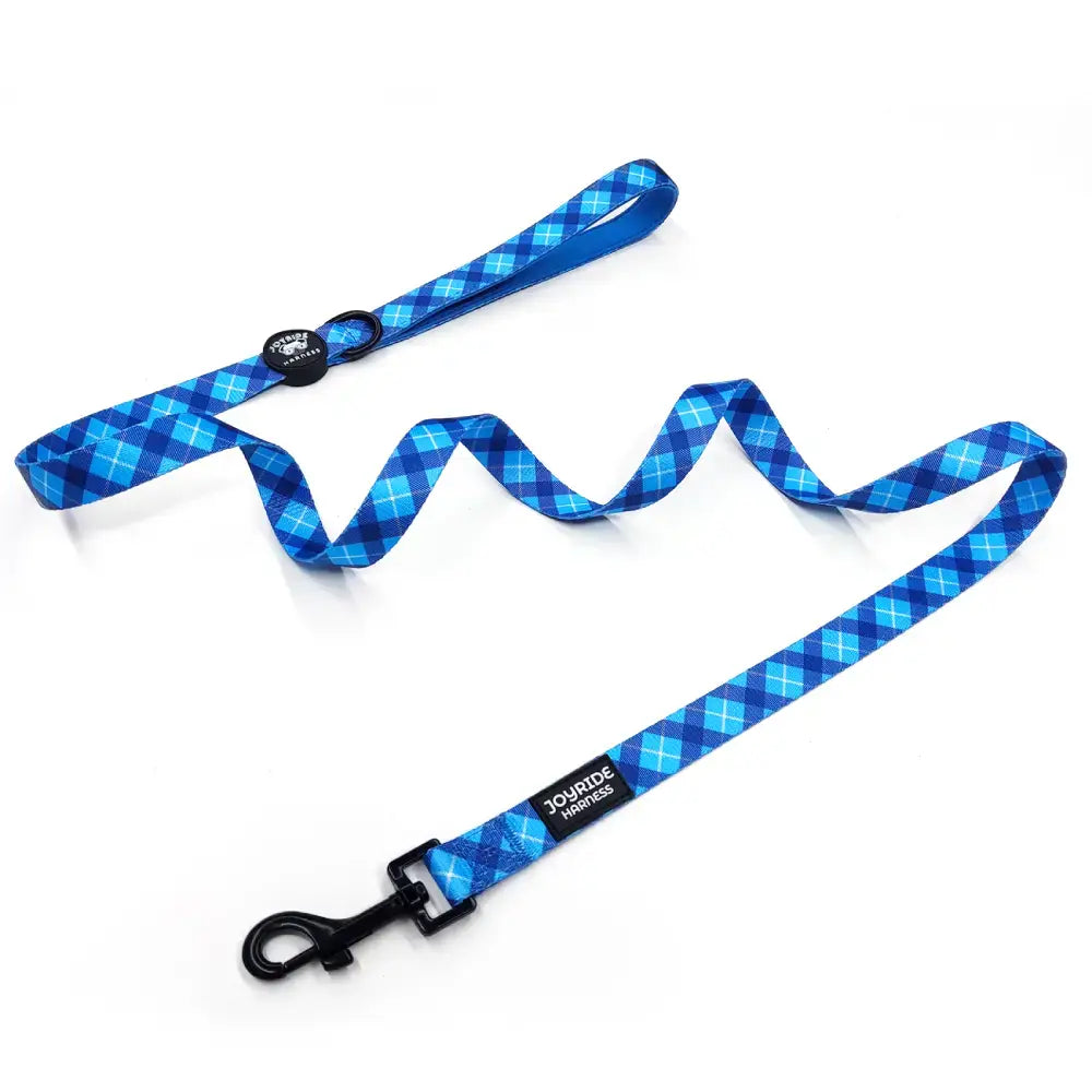 Dog Leash in Blue Plaid for Comfortable Daily Walks, 0.78 x 59 Inches, Made to Match Coordinating Walking Gear