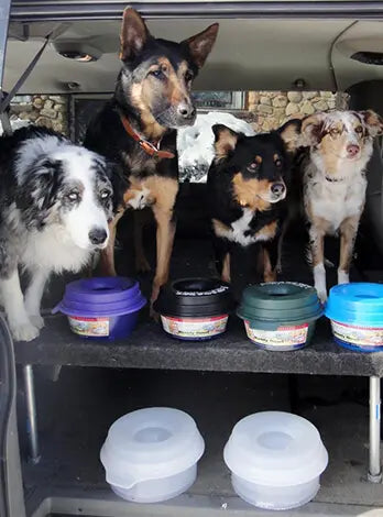 Dog Water Bowl product image 13