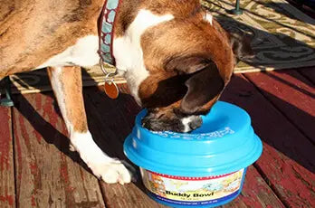 Dog Water Bowl product image 14
