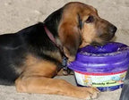 Dog Water Bowl product image 15