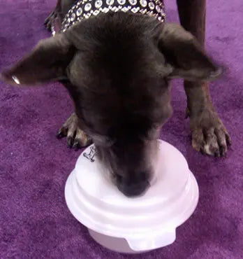 Dog Water Bowl product image 16