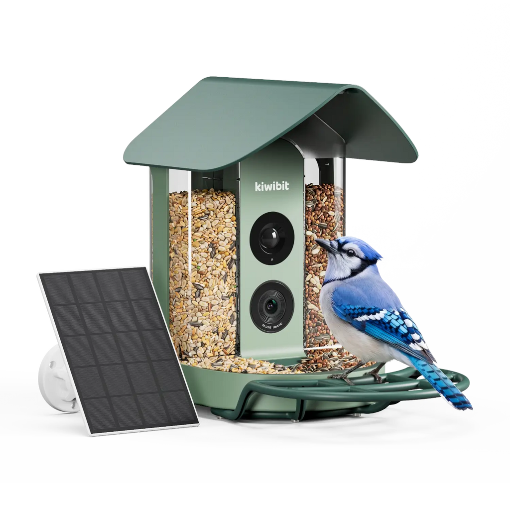 Smart Bird Feeder product image 1