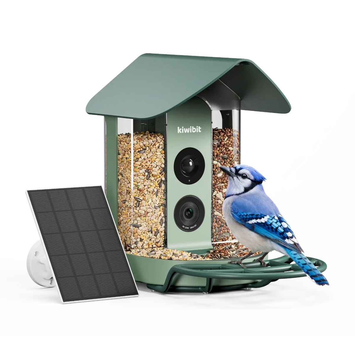 Smart Bird Feeder product image 1