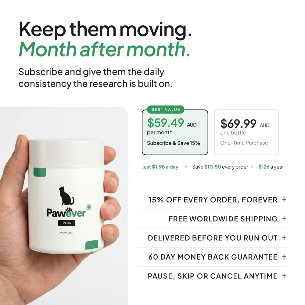 Cat Supplement product image 10