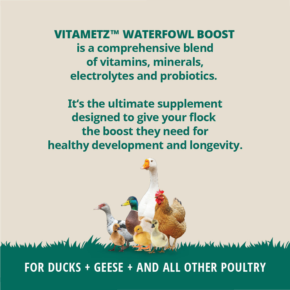 Waterfowl Vitamin Supplement product image 3