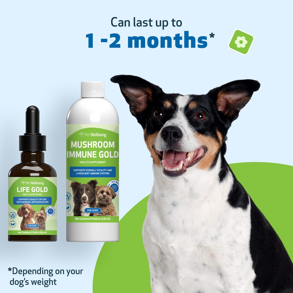 Dog immune support supplement kit for antioxidant balance and everyday holistic wellness, two liquid formulas