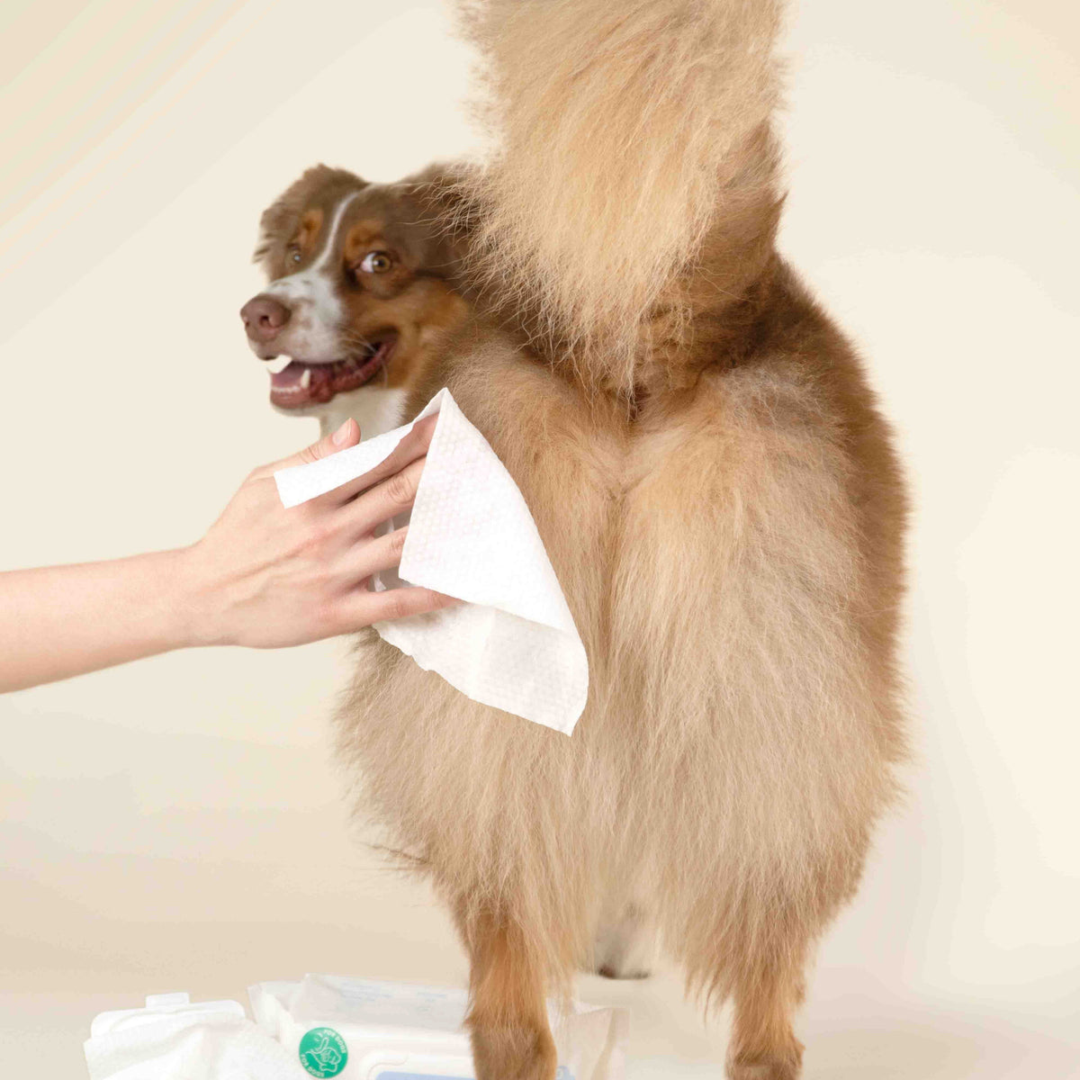Pet Grooming Wipes for Dogs & Cats: Gentle Plant-Based Daily Paw and Body Cleaning, 80 to 480 Wipes
