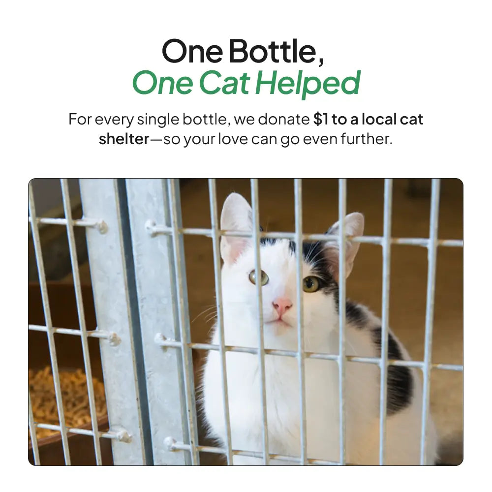 Cat Supplement product image 8