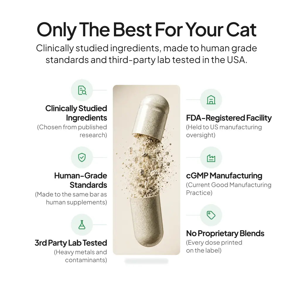 Cat Supplement product image 6