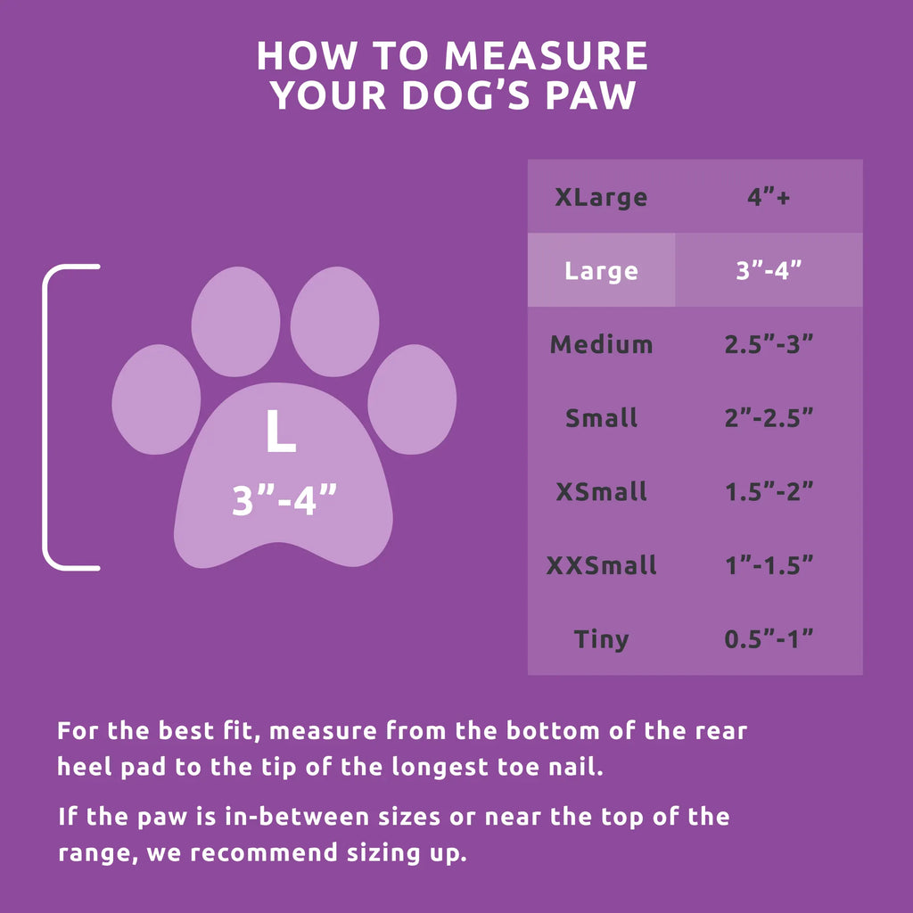 Dog Boot Set product image 39