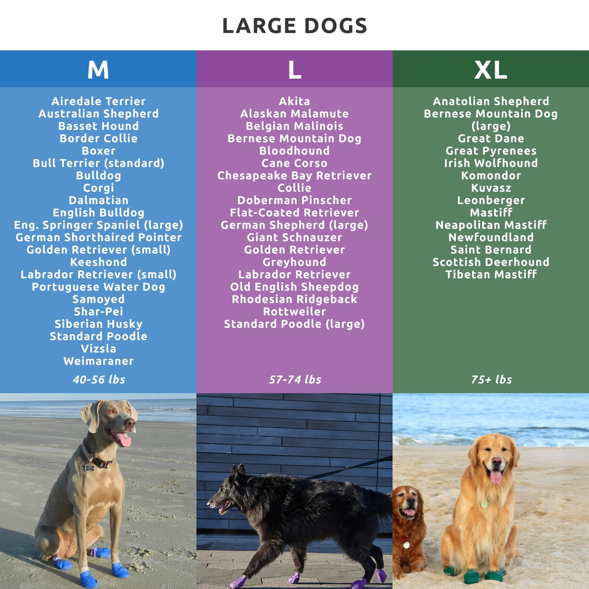 Dog Boot Set product image 40