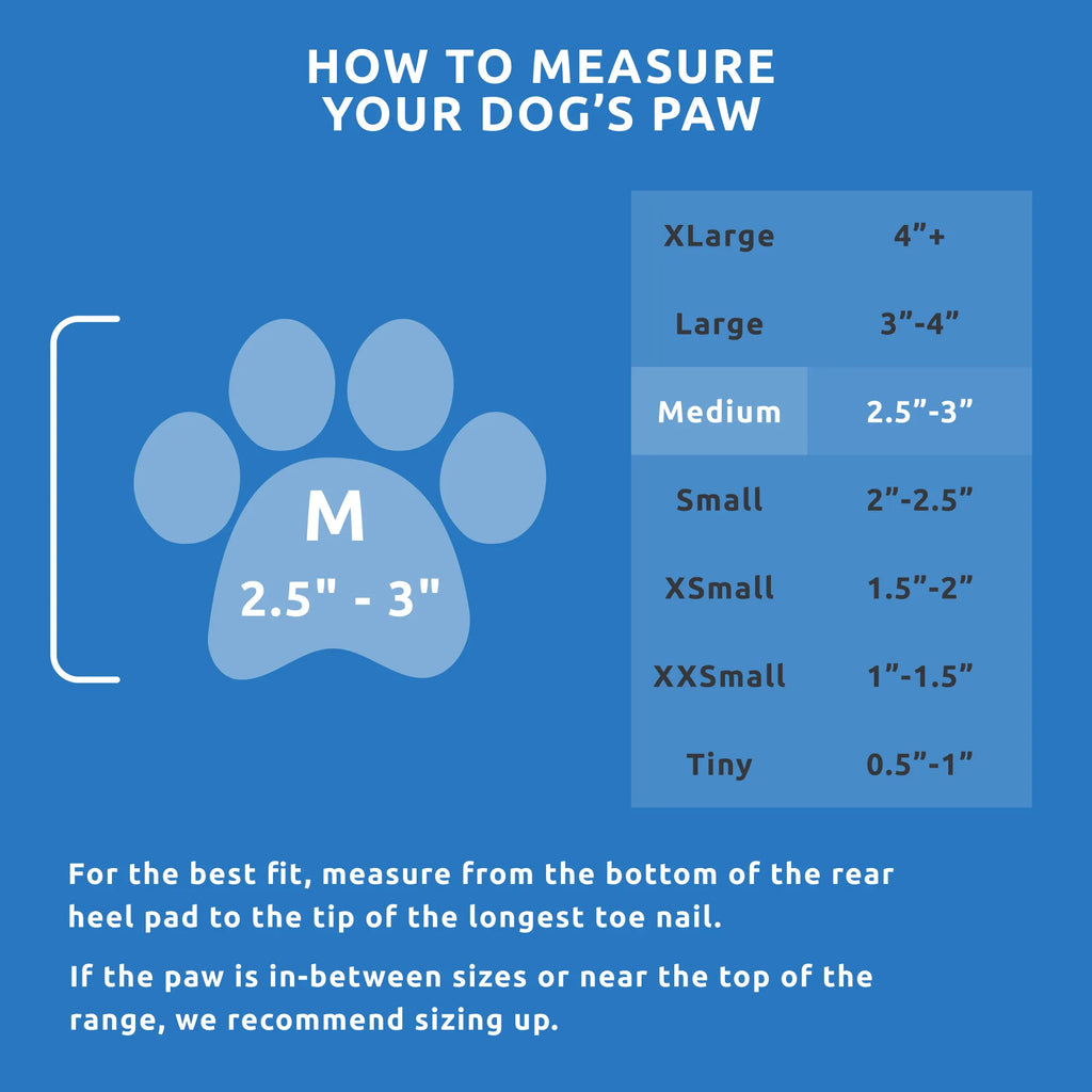 Dog Boot Set product image 33