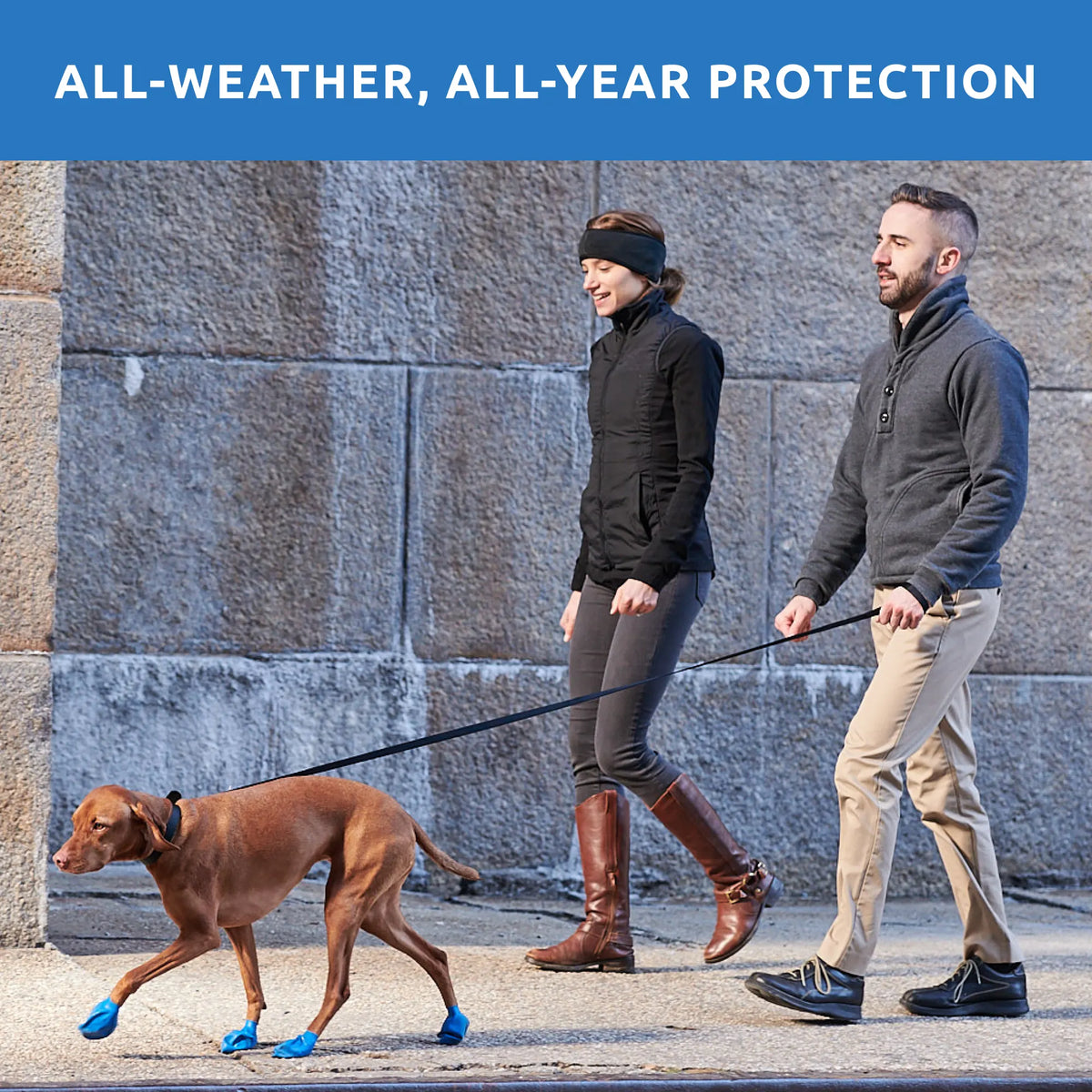 Dog Boot Set product image 35