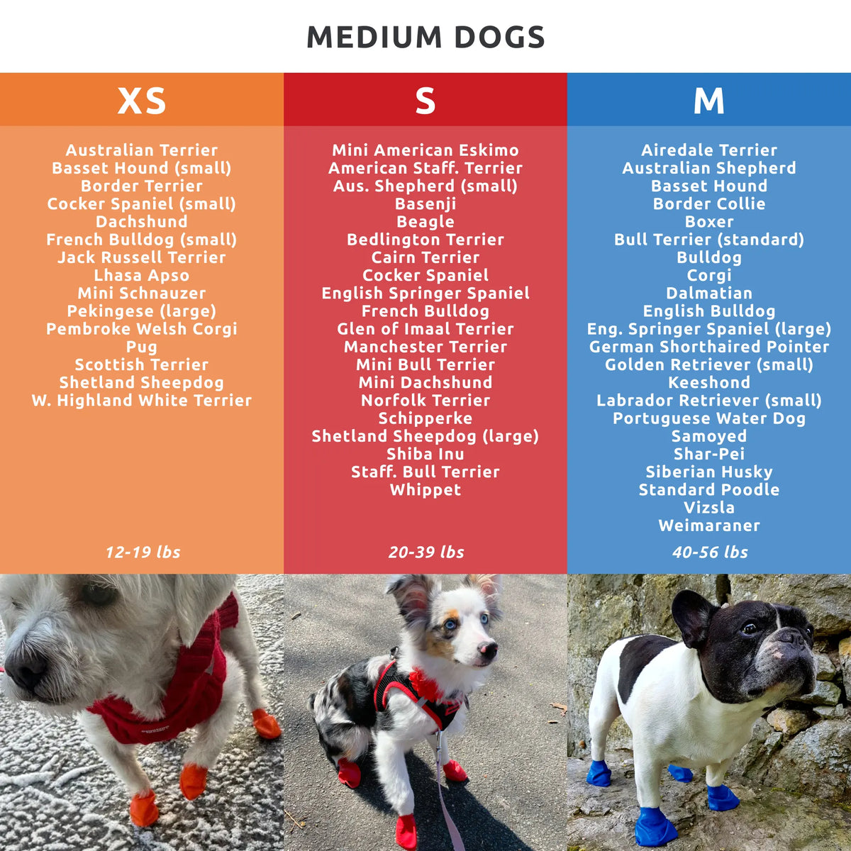 Dog Boot Set product image 27